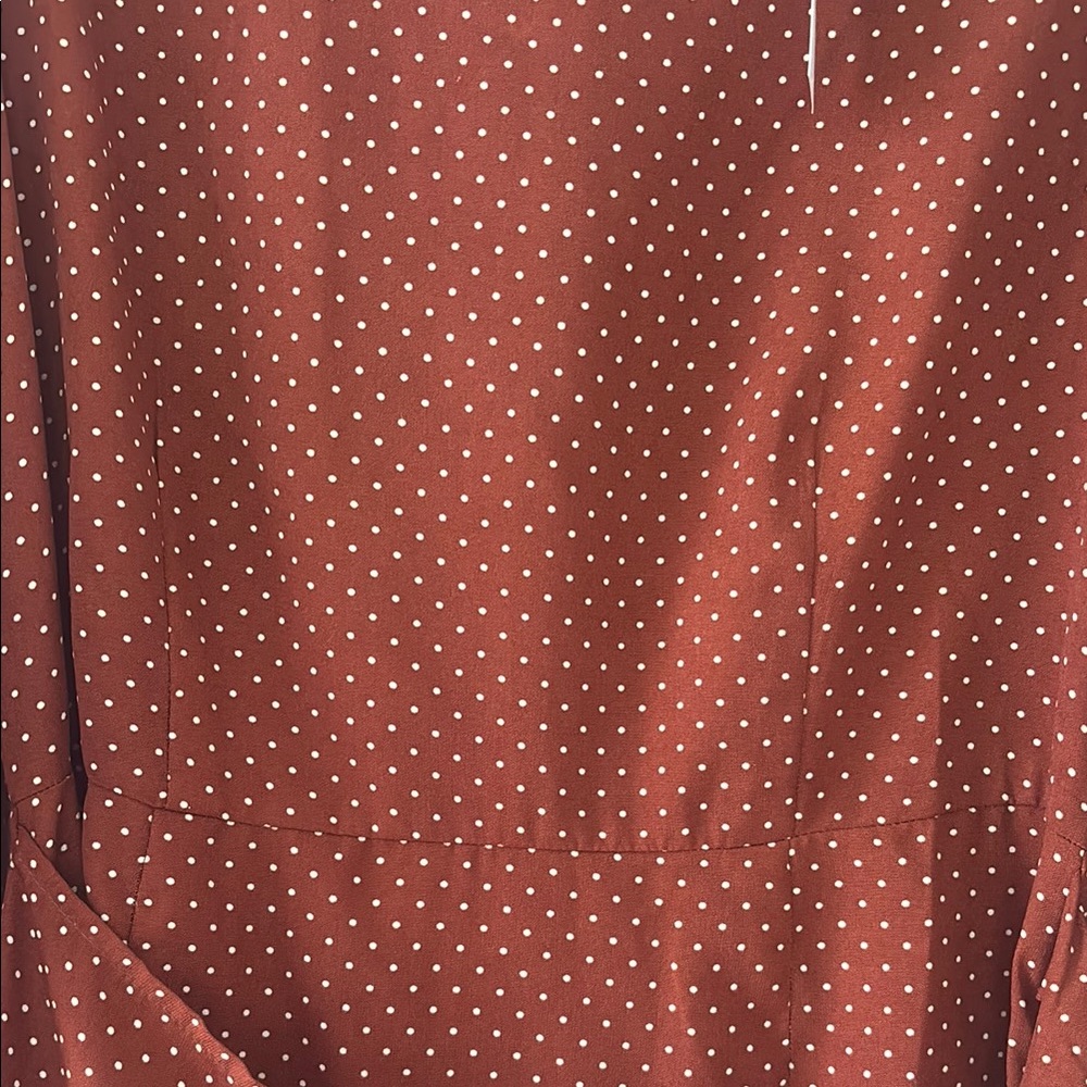 🌸 3/$15 NWT: Francesca Rust Polka Dot Faux Wrap Dress - Picture 4 of 10